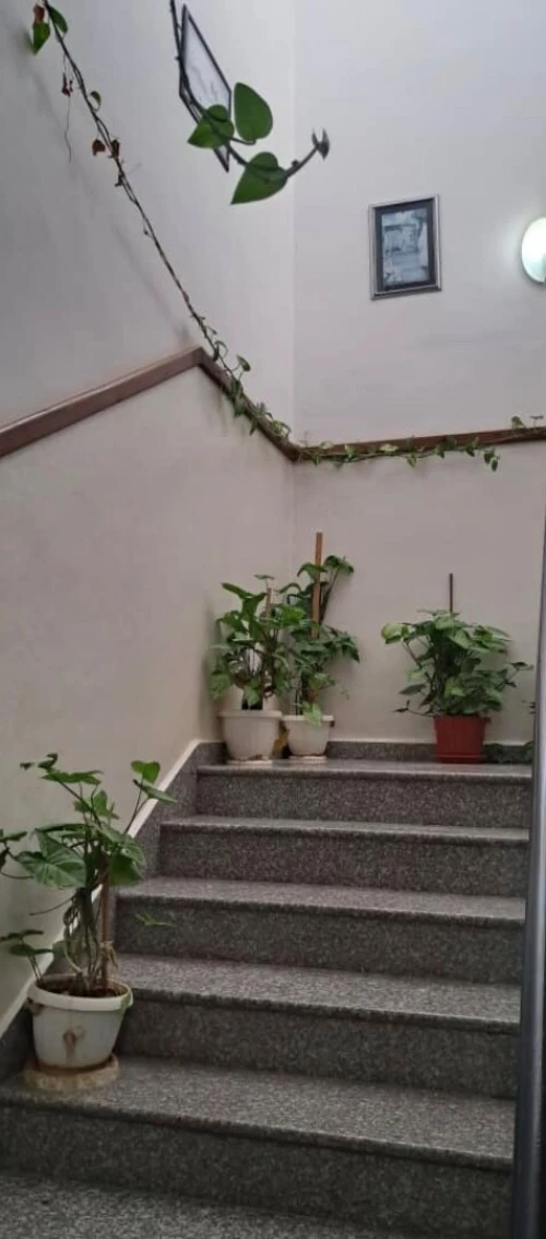 Location Appartement F3 Alger Draria