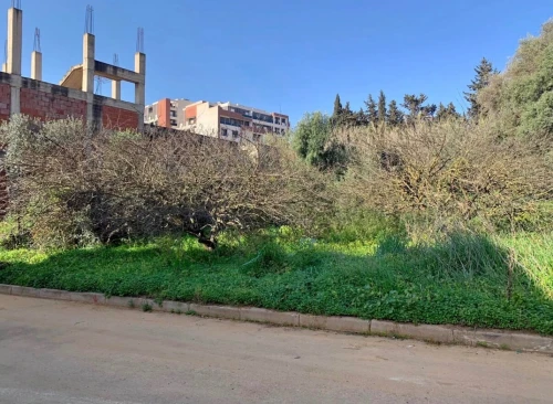 Vente Terrain Alger Draria
