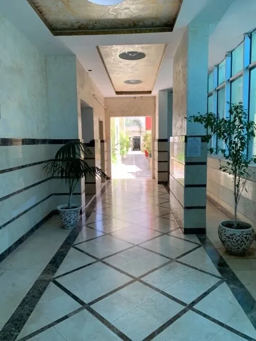 Location Appartement F2 Alger Cheraga
