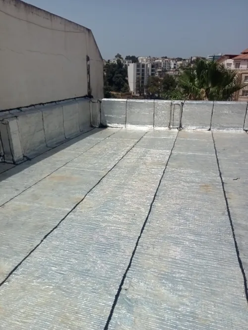 Entreprises travaux étanchéité 