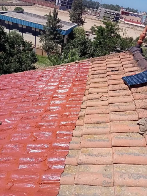 Travaux étanchéité général 