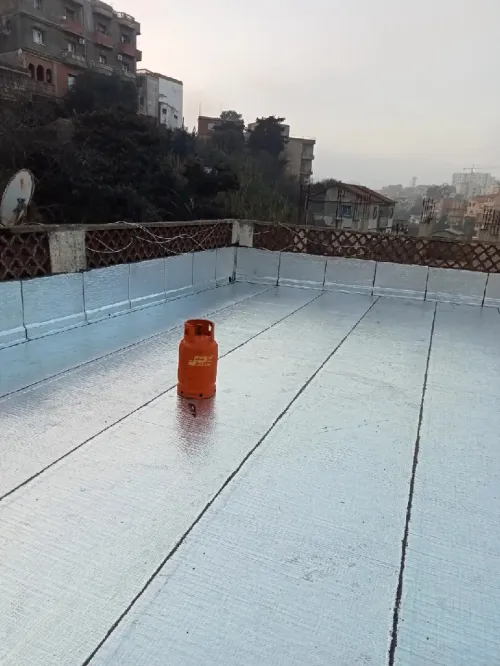تغليف وعزل الاسطح
