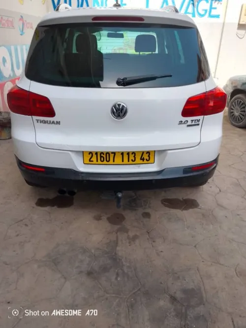 Volkswagen Tiguan 2013 Tiguan