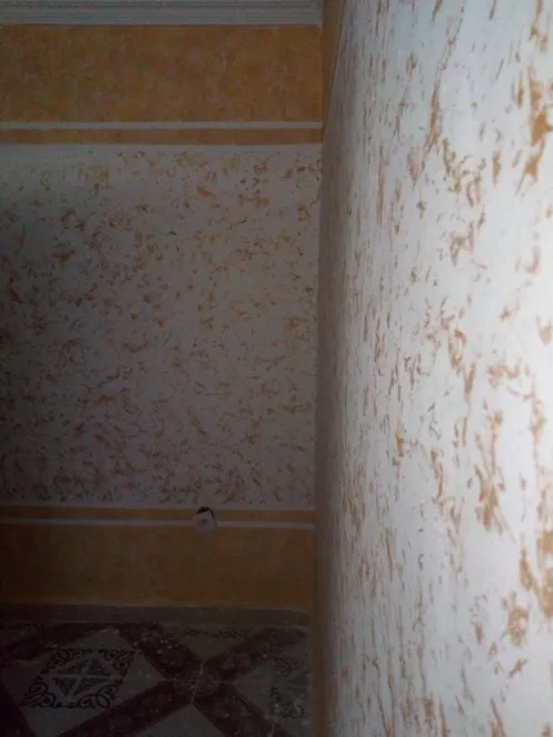 Peintre intérieur et extérieur 