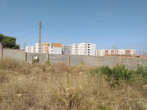 Vente Terrain Blida Meftah