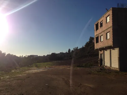 Vente Terrain Alger Beni messous