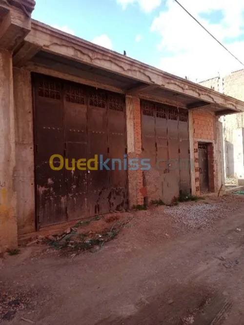 Vente Carcasse Blida Bougara