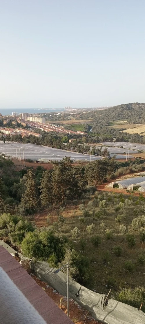 Vente Appartement F3 Tipaza Douaouda