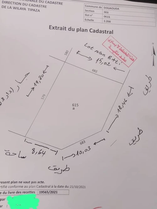 Vente Terrain Tipaza Douaouda