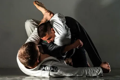Ecole des arts Martiaux  Nihon tai jitsu