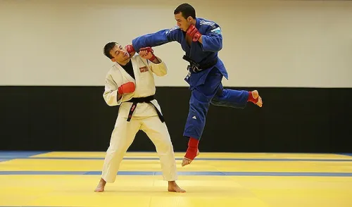 Ecole des arts Martiaux  Nihon tai jitsu