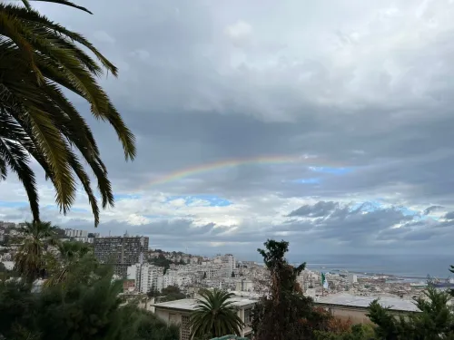 Vente Villa Alger El biar