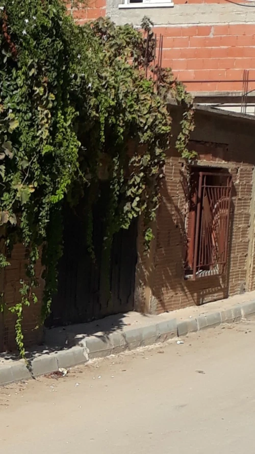 Location Local Tipaza Cherchell