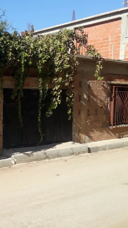 Location Local Tipaza Cherchell