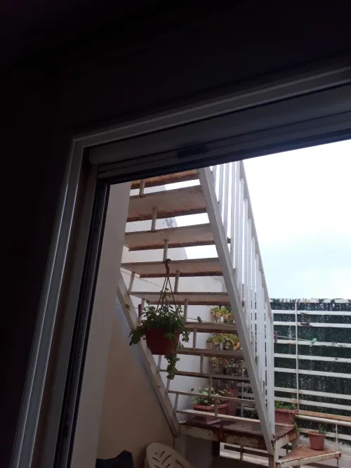 Location Appartement F3 Alger Draria