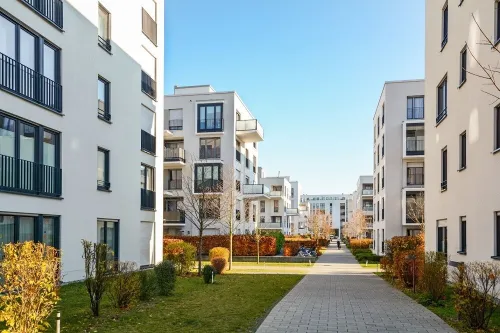 Cherche achat Terrain Alger Birkhadem