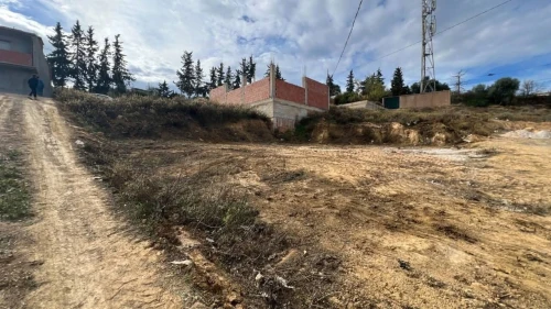 Vente Terrain Tipaza Cherchell