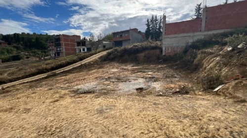 Vente Terrain Tipaza Cherchell