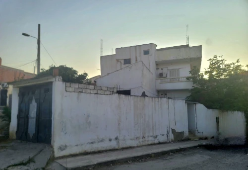 Vente Villa Mila Ain tine
