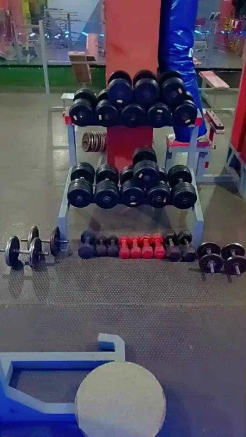 Matériel de musculation 