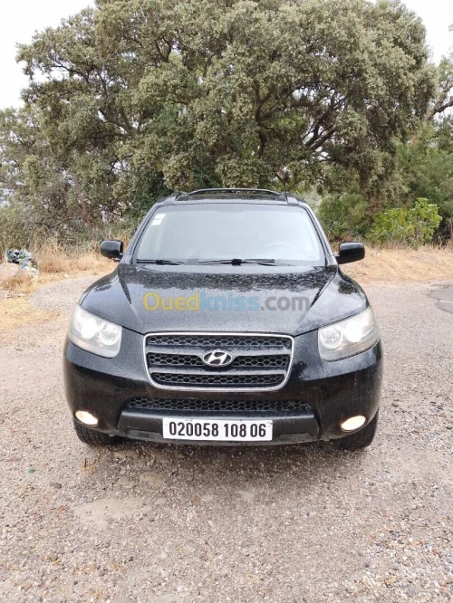 Hyundai SantaFe 2008 SantaFe