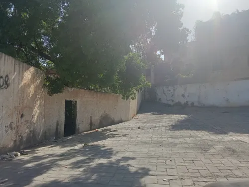 Vente Terrain Blida Blida