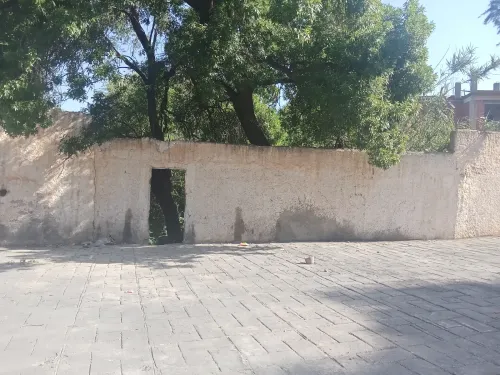 Vente Terrain Blida Blida
