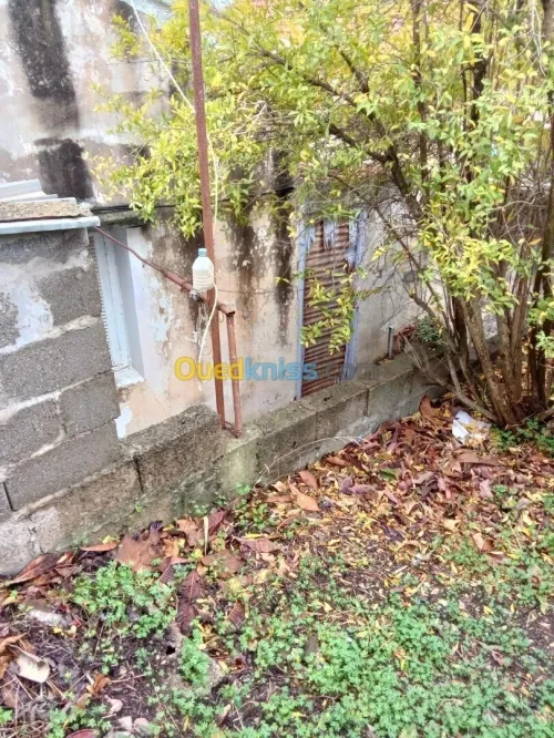 Vente Villa Alger Bouzareah