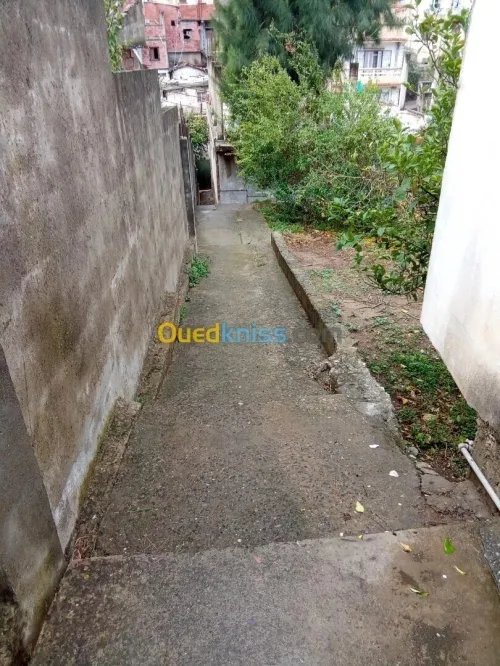 Vente Villa Alger Bouzareah