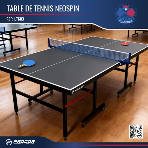 TABLE DE TENNIS NEOSPIN