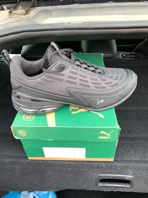 basket puma