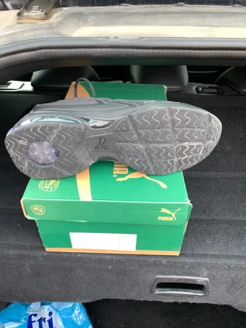 basket puma
