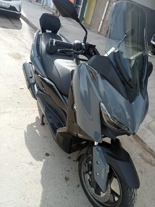 Xmax 300 2021