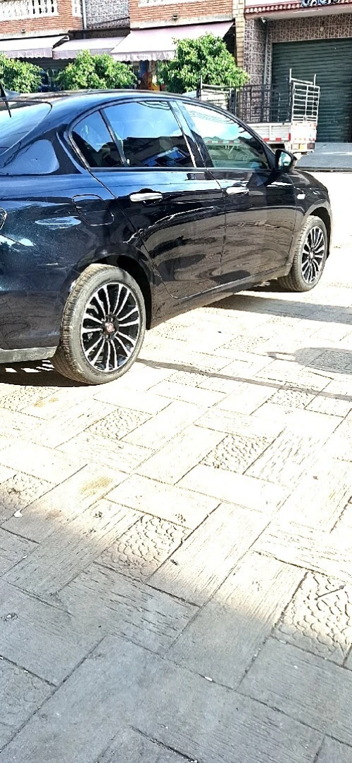 Fiat Tips live 2023 