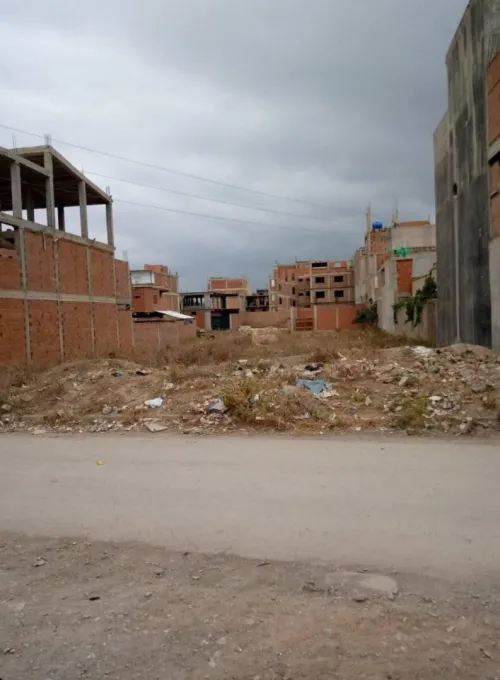 Vente Terrain Blida Guerrouaou