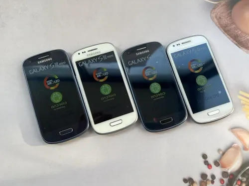 Samsung S mini