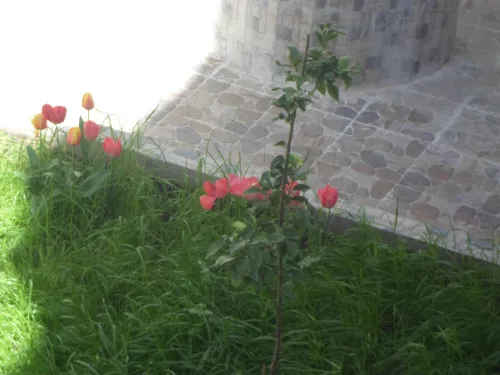 Vente Villa Constantine Constantine