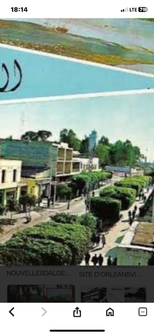 Vente Local Chlef Chlef