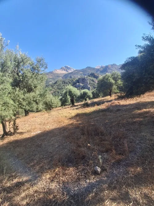 Vente Terrain Tizi Ouzou Agouni gueghrane