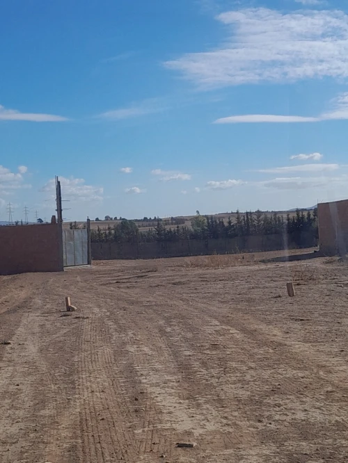 Vente Terrain Sidi Bel Abbès Amarnas