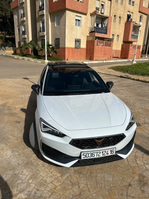 Cupra  Leon 2024 