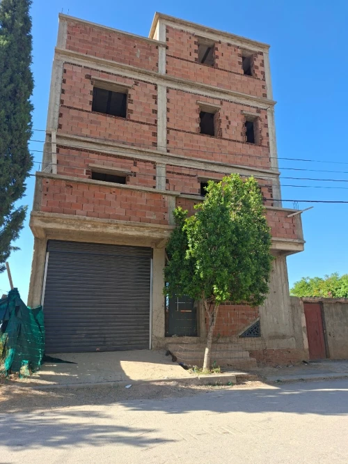Vente Appartement Niveau de villa Studio Chlef Chlef