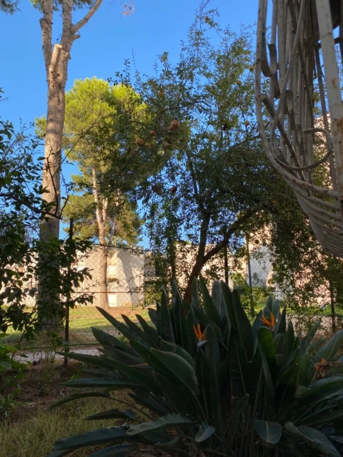 Location Appartement Alger Dar el beida