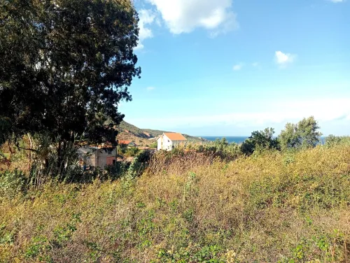 Vente Terrain Tizi Ouzou Tigzirt