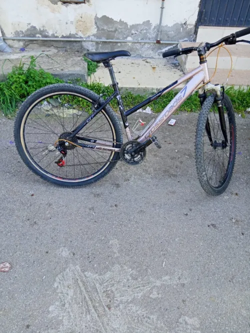 Velos