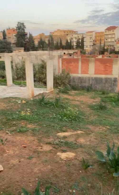Vente Terrain Alger Saoula