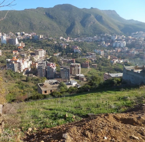 Vente Terrain Béjaïa Bejaia
