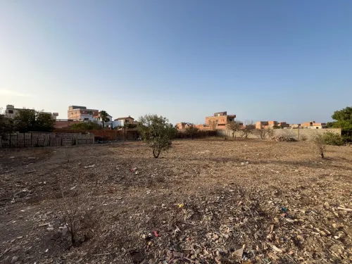 Vente Terrain Oran Bousfer