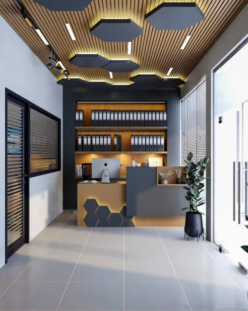 ARCHITECTE-Studio d'architecture BONYAN