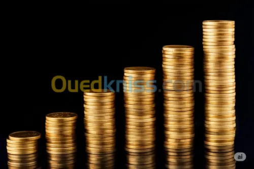 بناء الثروة بذكاء 